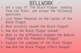 BELLWORK Get a copy of “The Black Plague” reading from the front, and answer the following questions. 1.List three theories on the causes of the Black.