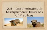 2.5 - Determinants & Multiplicative Inverses of Matrices.