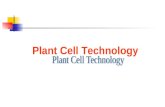Plant Cell Technology. Plant Parts and their main functions Leaf (Photosynthesis) Shoot (Mechanical support, Transport of food) Root ( Water and mineral.