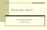 1 Week One: BCIT Dr. Stephen Ogden LIBS 7001. Liberal Arts Benefit for Business Professionals “….not all of us are arts students …. English course[s],