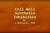 Cell Wall Synthesis Inhibitors By S.Bohlooli, PhD.