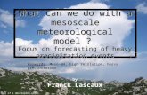 What can we do with a mesoscale meteorological model ? Focus on forecasting of heavy precipitation events by Franck Lascaux Keywords: Meso-NH, high resolution,