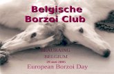 European Borzoi Day BEAURAING BELGIUM Belgische Borzoi Club 29 mei 2005.