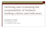 Defining and evaluating the sustainability of biofuels: leading criteria and indicators Elisabeth Graffy U.S. Geological Survey U.S. Department of the.