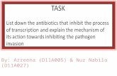 By: Azreena (D11A005) & Nur Nabila (D11A027). WHAT IS ANTIBIOTICS? Also known as antibacterial, the drugs used to treat infections caused by bacteria.