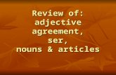 Review of: adjective agreement, ser, nouns & articles.