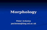 Morphology Peter Ackema packema@ling.ed.ac.uk. Word classes “Verbs express an action, process or state” “Verbs express an action, process or state” “Nouns.
