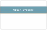 Organ Systems. Organ Systems Overview Includes skin, hair and nails Creates waterproof barrier aro8und the body Works with bones to move parts of the.
