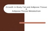 Growth in Body Fat and Adipose Tissue & Adipose Tissue Metabolism.