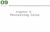 Chapter 9: Perceiving Color. What Are Some Functions of Color Vision? Color signals help us classify and identify objects. Color facilitates perceptual.