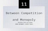 11 Between Competition and Monopoly... Neither fish nor fowl. JOHN HEYWOOD (CIRCA 1565) Between Competition and Monopoly... Neither fish nor fowl. JOHN.