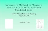 Innovative Method to Measure Solids Circulation in Spouted Fluidized Beds 2009 AIChE National Meeting Nashville, TN November 9, 2009.
