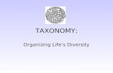 TAXONOMY: Organizing Life’s Diversity. “Random” Facts It is estimated that there are between 3 and 30 million species on this planet. We have named about.