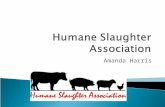 Amanda Harris.  HSA was founded in 1928 by an amalgamation of the Council of Justice to Animals (founded in 1911 by a small group of people) and the.