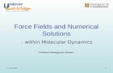 1-12-20051 Force Fields and Numerical Solutions Christian Hedegaard Jensen - within Molecular Dynamics.