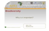 Available at  Biodiversity Why is it important? BCB 705: Biodiversity.