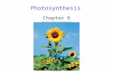 Photosynthesis Chapter 8. 2 PHOTOSYNTHESIS Life is powered by the sun. The vast diversity of life on the Earth is due to about ____________________. Comes.