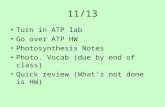 11/13 Turn in ATP lab Go over ATP HW Photosynthesis Notes Photo. Vocab (due by end of class) Quick review (What's not done is HW)