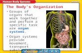 Lesson 1-1 Groups of organs that work together and perform a specific task are organ systems. organ systems Organ systems provide movement, transport.
