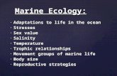 Marine Ecology: Adaptations to life in the ocean Adaptations to life in the ocean Stresses Stresses Sex value Sex value Salinity Salinity Temperature Temperature.