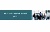 Voice Over Internet Protocol (VoIP). Basic Components of a Telephony Network.