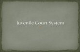 A juvenile is anyone under the age of seventeen. Juveniles must follow all laws for adults in Georgia and some laws created just for juveniles. They have.