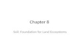 Chapter 8 Soil: Foundation for Land Ecosystems. SOIL AND PLANTS 8.1.