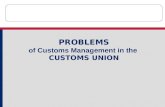 PROBLEMS of Customs Management in the CUSTOMS UNION.