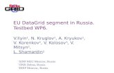 EU DataGrid segment in Russia. Testbed WP6. V.Ilyin 1, N. Kruglov 1, A. Kryukov 1, V. Korenkov 2, V. Kolosov 3, V. Mitsyn 2, L. Shamardin 1 1 SINP MSU.