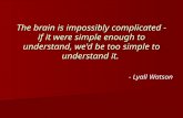 The brain is impossibly complicated - if it were simple enough to understand, we'd be too simple to understand it. - Lyall Watson.