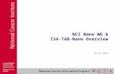 NCI Nano WG & ISA-TAB-Nano Overview March 2014. What is the caBIG ® Nanotechnology Working Group? NCI: National Cancer Institute –caBIG ® : Cancer Biomedical.