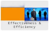 Effectiveness & Efficiency. Organisational performance can be seen as consisting of two dimensions: –Effectiveness –Efficiency.
