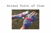 Animal Point of View. Take an Unusual Point of View Use the perspective of an animal Use several animal ideas on your roll Find out something about an.