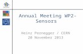 Annual Meeting WP2- Sensors Heinz Pernegger / CERN 20 November 2013.