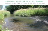 Pataha Creek, 10% of Flow, RM 0.1 (L): 67degrees Tucannon River, 90% of Flow, RM 11 (R): 70 degrees.