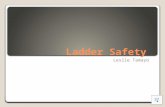 Ladder Safety Leslie Tamayo 3 Basic Ladders Industrial Type I–Industrial: Heavy-duty with a load capacity not more than 250 pounds. Commercial Type II–Commercial: