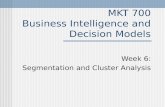 MKT 700 Business Intelligence and Decision Models Week 6: Segmentation and Cluster Analysis.