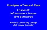 Principles of Voice & Data Lesson 3: Infrastructure Issues and Standards Bellevue Community College Bob Young, Instructor.