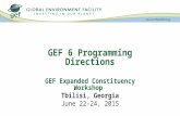 GEF 6 Programming Directions GEF Expanded Constituency Workshop Tbilisi, Georgia June 22-24, 2015.