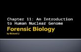 Chapter 11: An Introduction to Human Nuclear Genome.