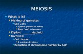 MEIOSIS What is it? What is it? Making of gametes Making of gametes Sex Cells Sex Cells Sperm (pollen) in males Sperm (pollen) in males Eggs (ova) in females.