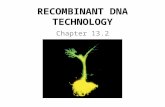RECOMBINANT DNA TECHNOLOGY Chapter 13.2. GENETIC ENGINEERING Genetic Engineering: – Involves cutting (cleaving) DNA from one organism into small fragments.