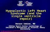 Hypoplastic Left Heart Syndrome (and the single ventricle repair) Henaro Sabino, MD Sibley Heart Center Cardiology at Children’s Healthcare of Atlanta;