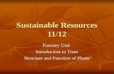 Sustainable Resources 11/12 Forestry Unit Introduction to Trees Structure and Function of Plants.
