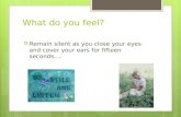What do you feel?  Remain silent as you close your eyes and cover your ears for fifteen seconds….