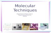 Molecular Techniques Department of Stem Cells & Regenerative Medicine ACECR.