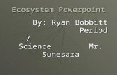 Ecosystem Powerpoint By: Ryan Bobbitt Period 7 Science Mr. Sunesara By: Ryan Bobbitt Period 7 Science Mr. Sunesara.