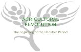 AGRICULTURAL REVOLUTION The beginning of the Neolithic Period.