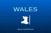 WALES Ilona Vavřičková. The Political Division of Wales.