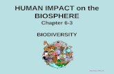 HUMAN IMPACT on the BIOSPHERE Chapter 6-3 BIODIVERSITY .